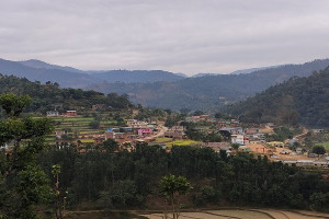 फारुला_बाजार_0.jpg