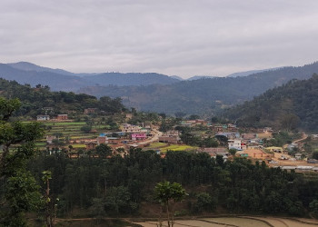 फारुला_बाजार_0.jpg